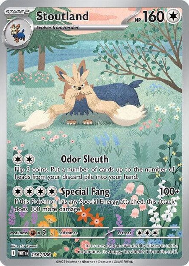 Stoutland 156/086