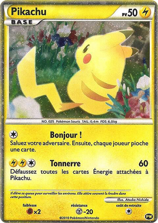 Pikachu World Collection Promo FR